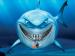 Haig's Avatar